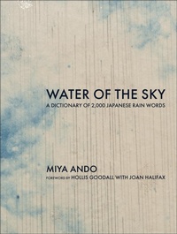 Enlarge image Cover: Water of the Sky - MIT Press