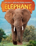Cover: Elephant - A&d Xtreme