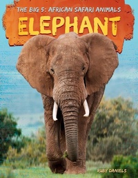 Enlarge image Cover: Elephant - A&d Xtreme