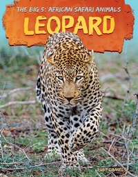 Enlarge image Cover: Leopard - A&d Xtreme