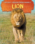 Cover: Lion - A&d Xtreme