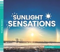 Cover: Sunlight Sensations - BIG BUDDY BOOKS