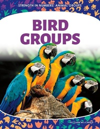 Enlarge image Cover: Bird Groups - Core Library