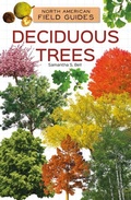 Cover: Deciduous Trees - Field Guides