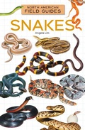 Cover: Snakes - Field Guides