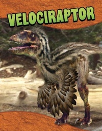 Enlarge image Cover: Velociraptor - Raintree