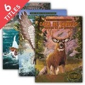 Cover: Aventuras En La Naturaleza (Wilderness Adventures) (Set) - Calico Kid