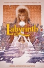 Cover: Jim Henson's Labyrinth Original Motion Picture Adaptation - Boom Entertainment