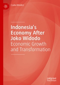 Abbildung von: Indonesia's Economy After Joko Widodo - Palgrave Macmillan