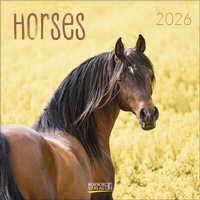 Abbildung von: Horses 2026 - Korsch Verlag