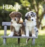 Cover: Hunde 2026 - Korsch Verlag