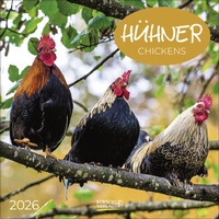 Abbildung von: Hühner 2026 - Korsch Verlag