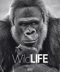 Abbildung von: WildLife 2026 - Korsch Verlag
