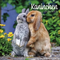Abbildung von: Kaninchen 2026 - Korsch Verlag