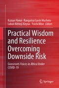 Cover: Practical Wisdom and Resilience Overcoming Downside Risk - Springer Nature Switzerland AG