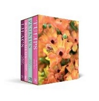 Enlarge image Cover: Beautiful Varieties Boxset - Pavilion