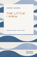 Cover: The Little I Knew - Foundry Editions