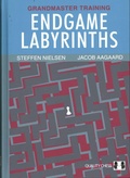 Cover: Endgame Labyrinths - Quality Chess UK Ltd