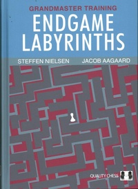 Enlarge image Cover: Endgame Labyrinths - Quality Chess UK Ltd