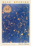 Cover: Blue Opening - Zando