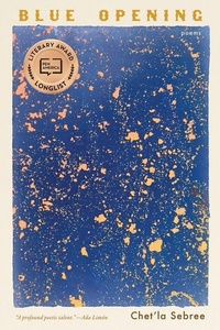 Enlarge image Cover: Blue Opening - Zando