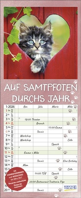 Abbildung von: Auf Samtpfoten durch's Jahr 2026 - Korsch Verlag