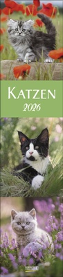 Abbildung von: Katzen Langplaner 2026 - Korsch Verlag