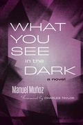 Cover: What You See in the Dark - Northwestern University Press