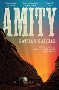 Enlarge image Cover: Amity - Tinder Press