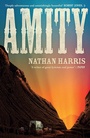Cover: Amity - Tinder Press