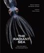 Cover: The Radiant Sea - Abrams