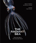 Cover: The Radiant Sea - Abrams