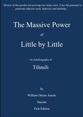 Cover: The Massive Power of Little by Little (biography, construction, wealth creation) - william amolo