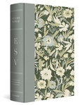 Cover: ESV Study Bible, Artist Series - Crossway Books