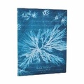 Cover: Sea Flowers (Anna Atkins' Cyanotypes) Ultra Unlined Softcover Journal (Elastic Band Closure) - Paperblanks