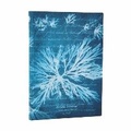 Cover: Sea Flowers (Anna Atkins' Cyanotypes) Midi Unlined Softcover Journal (Elastic Band Closure) - Paperblanks