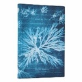 Cover: Sea Flowers (Anna Atkins' Cyanotypes) Mini Lined Softcover Journal (Elastic Band Closure) - Paperblanks