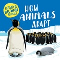 Cover: How Animals Adapt - PowerKids Press