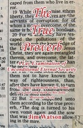 Cover: The True Proverb - A Lay Examination of Unconditional Eternal Security - E-Booktime, LLC