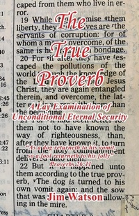 Enlarge image Cover: The True Proverb - A Lay Examination of Unconditional Eternal Security - E-Booktime, LLC