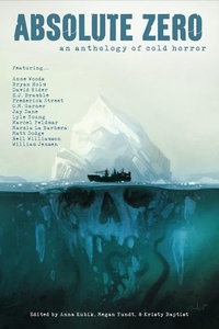 Enlarge image Cover: Absolute Zero - Death's Head Press