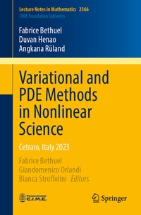 Abbildung von: Variational and PDE Methods in Nonlinear Science - Springer
