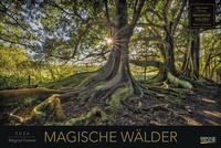 Abbildung von: Magische Wälder 2026 - Korsch Verlag