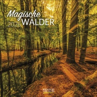 Abbildung von: Magische Wälder 2026 - Korsch Verlag