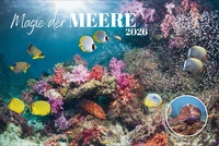 Abbildung von: Magie der Meere 2026 - Korsch Verlag