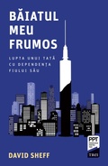 Cover: Baiatul meu frumos - Publishdrive