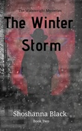Cover: The Winter Storm (Wainwright Mysteries, #2) - Kirkpatrick Publishing