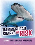 Cover: Hammerhead Sharks at Risk - Capstone Press