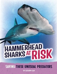 Enlarge image Cover: Hammerhead Sharks at Risk - Capstone Press