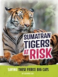 Cover: Sumatran Tigers at Risk - Capstone Press